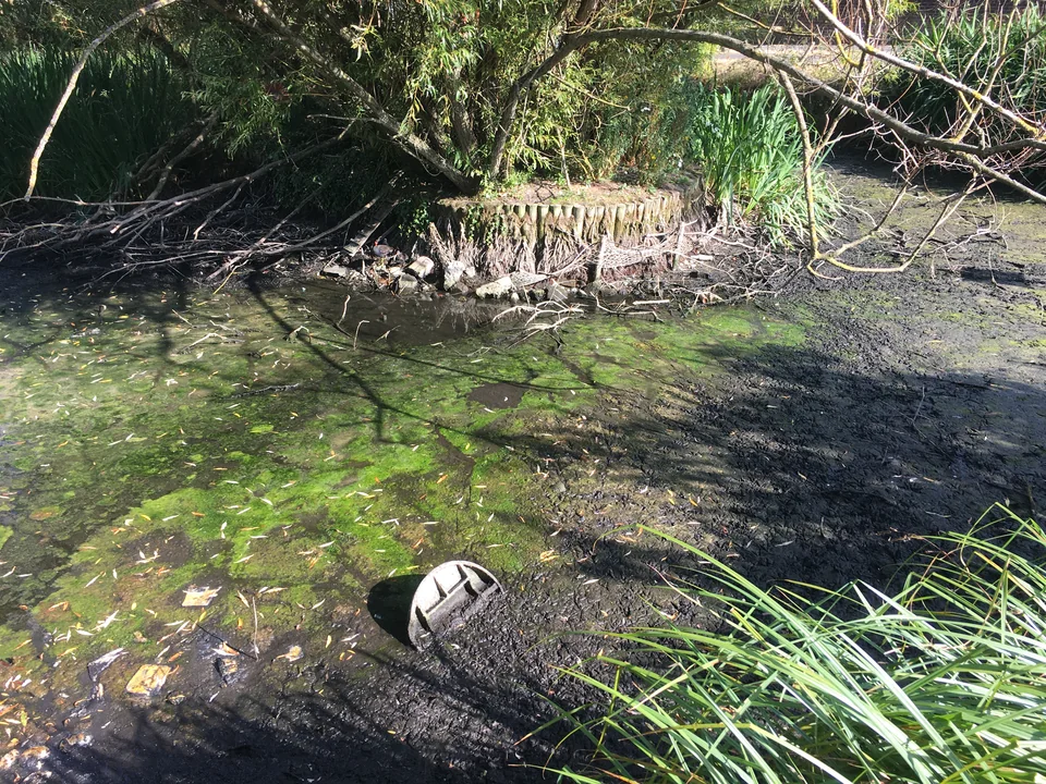 Village Pond dries up