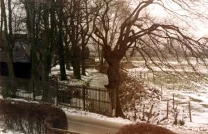 Cippenham Place Moat