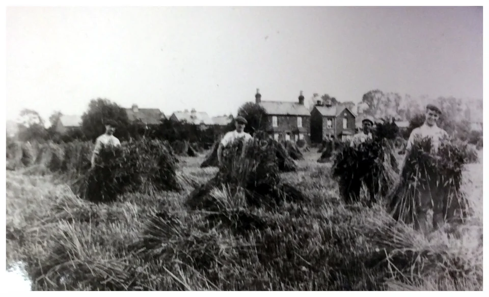 Shocking practices of Cippenham villagers