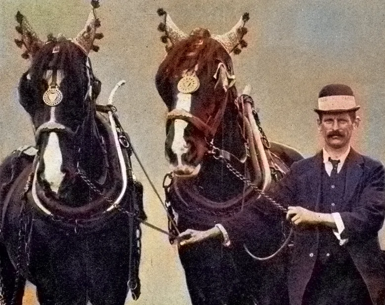 Ploughing Match 1913