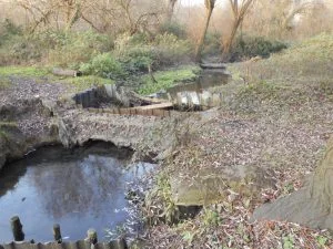 The stream in the Millie