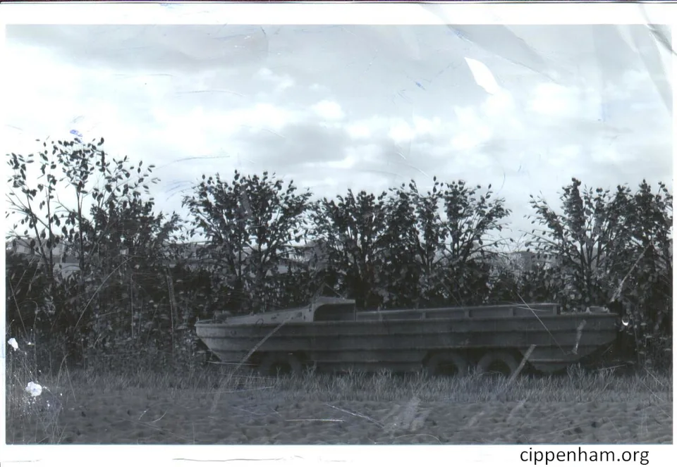 The Mystery of the Cippenham Duck