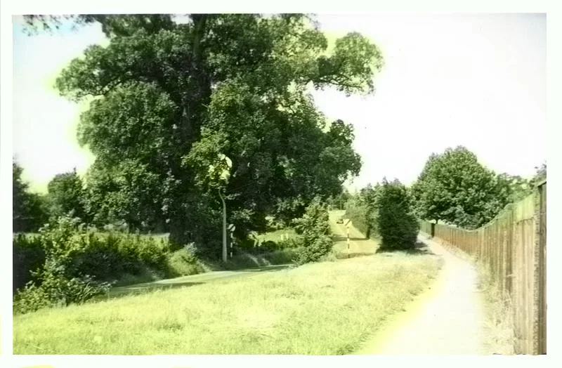 cippenham lane clr