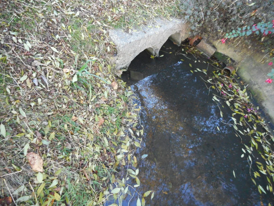Two-Mile Brook